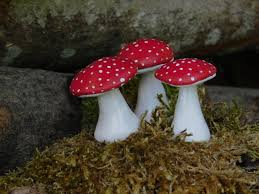 mushroom